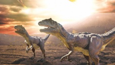 What killed dinosaurs’ life on Earth 