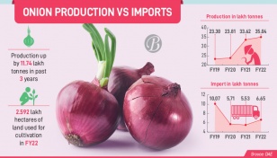 Onion yield boost fails to curb rise in imports 