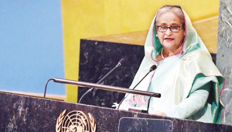 PM seeks role of UN, global leaders in Rohingya issue 