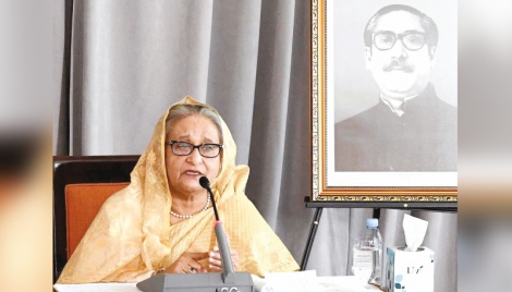 PM Hasina asks expats to counter propaganda against Bangladesh 