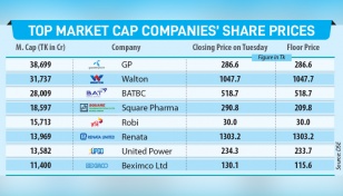 Billion-dollar market cap firms’ shares hit floor prices