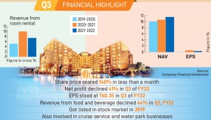 Sea Pearl stocks soar despite bleaker profit 