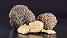 The allure of exotic truffles 