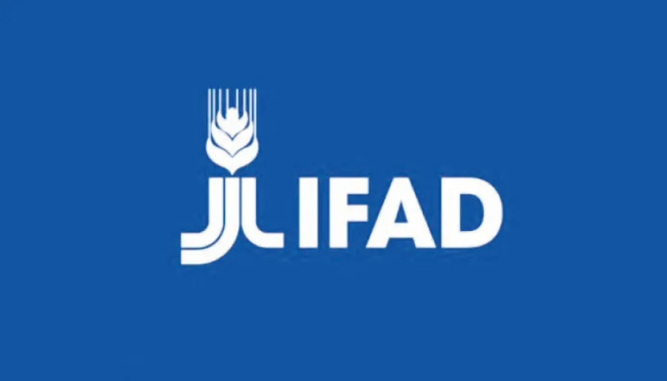 Investment needed to transform food systems: IFAD 
