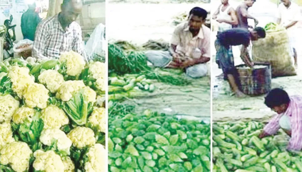 Bumper production, fair prices make Rangpur vegetable farmers happy 