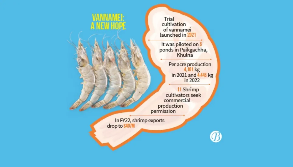 Commercial farming of Vannamei shrimp gets green light