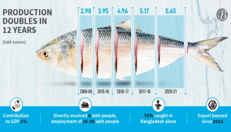 Hilsa: A $4b market of natural resource 