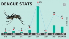 Dengue transmission rate increases 