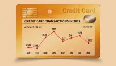Credit card usage falls as USD soars 