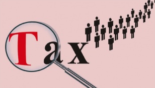 Action plan a must for hitting direct tax target: RAPID