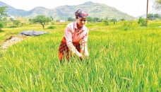 Unseasonal rain, crop losses may keep India’s food inflation high 