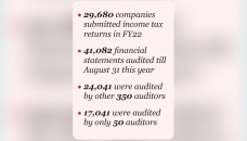 ‘Questionable’ audit reports behind revenue deficit, tax evasion 