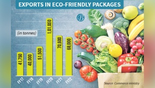 Agro product exports in eco-friendly packaging in decline 