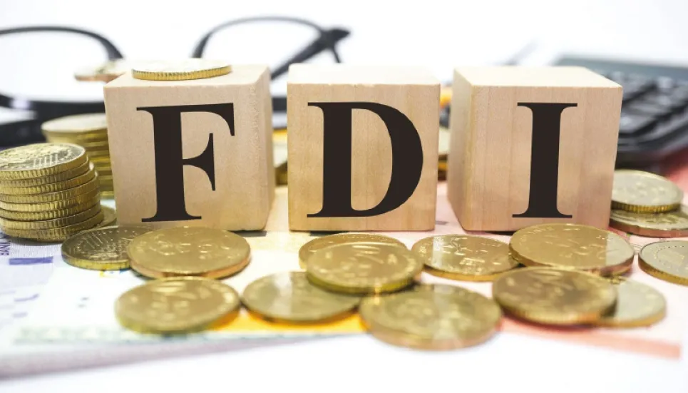 FDI powerful tool for economic growth: Mahbubur