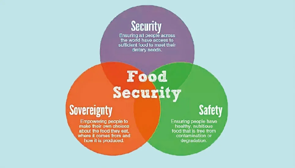 Overcoming food insecurity 