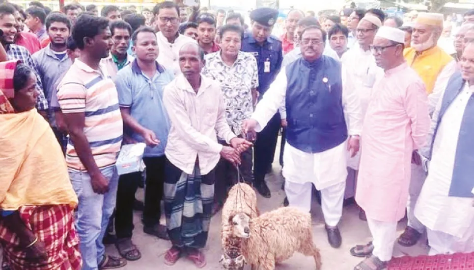 Sheep rearing can play vital role to meet protein demands: Sadhan 