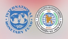 IMF for automation, capacity building of capital market 