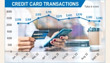 Credit card spending falls amid USD crisis