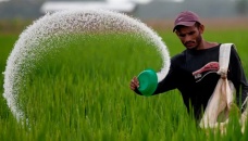 Govt to import 1.80 lakh tonnes fertiliser from 3 countries 
