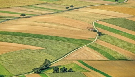 Use of agricultural land in tackling crisis 