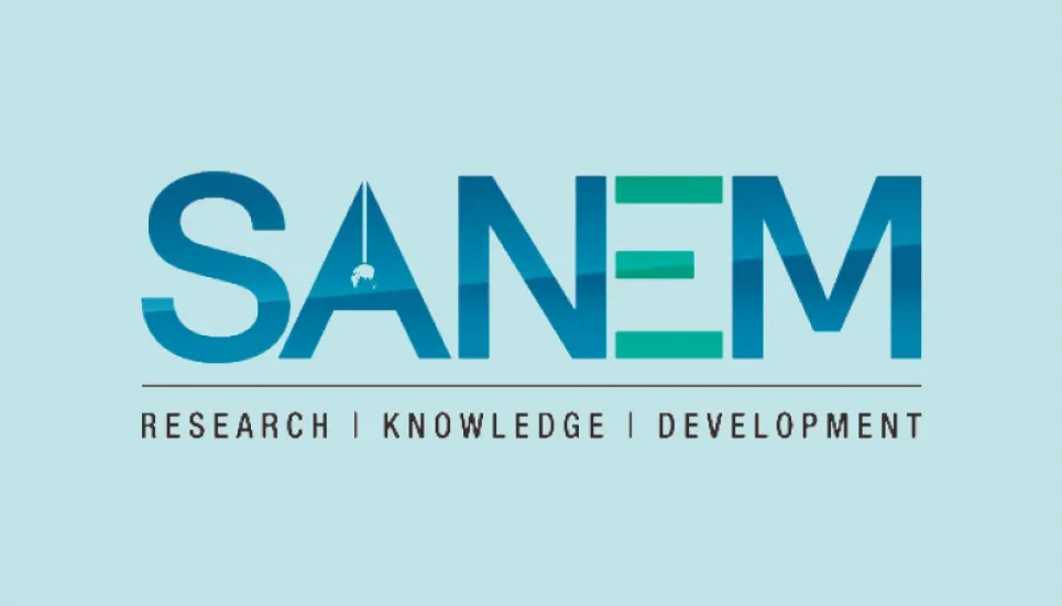 SANEM suggests plans to tackle economic headwinds 