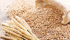 ‘Take steps to import wheat against LCs opened before India’s ban’ 