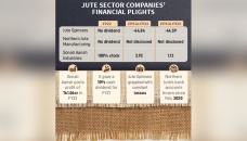 Jute companies’ plights going on, investors in dismay 