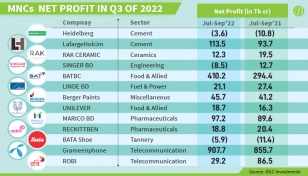 MNCs’ profits grow despite slowing economy 