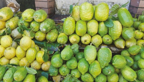 Sylhet farmers hopeful about ‘Zara Lemon’ farming 