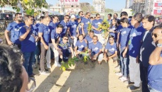 APL Logistics, ACLAB to plant 1,000 saplings in Cox’s Bazar 