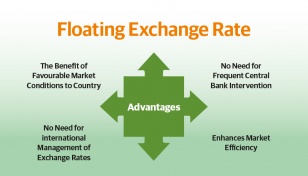 On history of floating exchange rate 