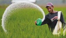 Govt to procure 80,000 tonnes fertiliser, 2.20cr litres soybean oil 