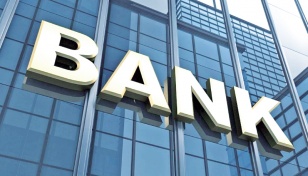 Can we bank on banks? 