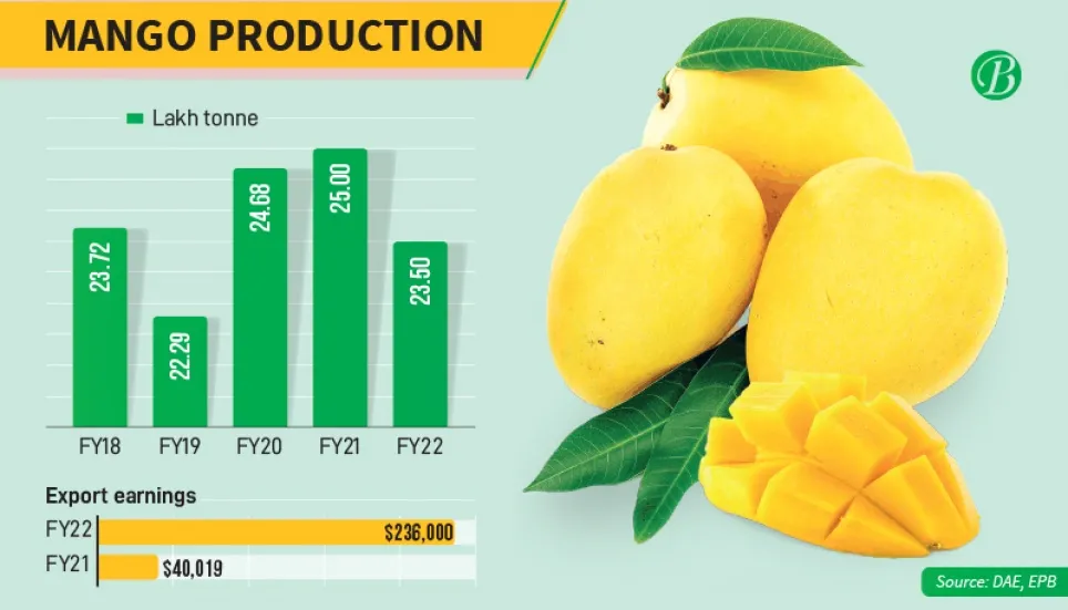 Mango export income up 6-fold despite less yield 