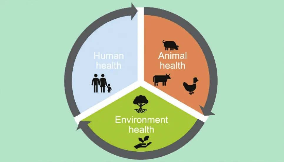 Data-driven battle against rise of AMR begins 