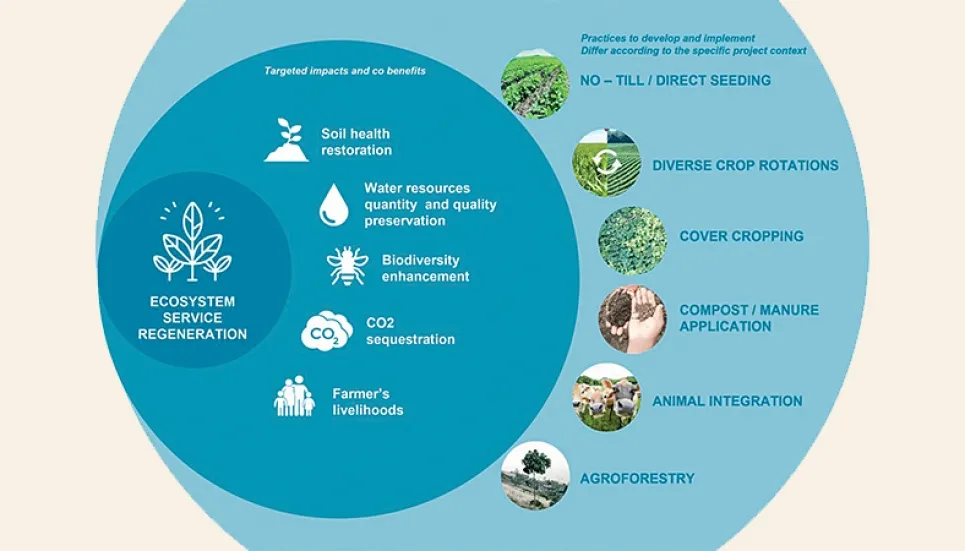 Healthy soils are the basis of healthy food production
