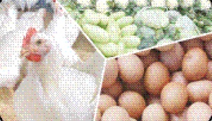 Egg, chicken, veg prices drop further