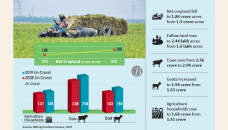 Net cropland declines four lakh acres in 11 years 