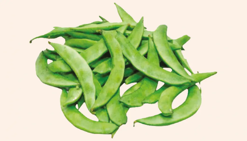 Commercial bean farming profits Rajshahi farmers