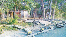 Unchecked Sandha River erosion continues to devour Kawkhali