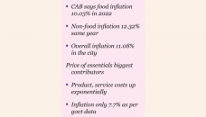 Dhaka inflation hits 11% last year: CAB