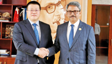 Shahriar for speedy execution of Rohingya repatriation pilot project