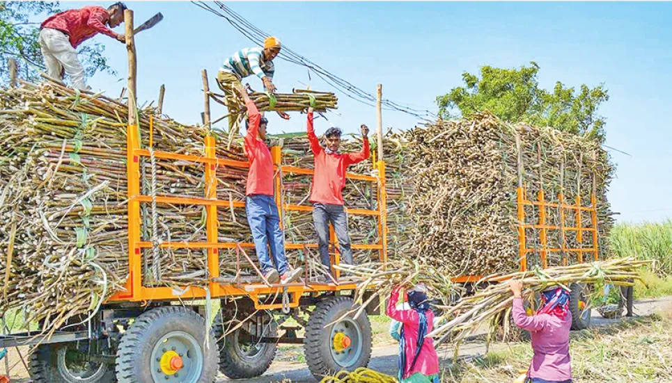 Indian sugar mills to close early as rain hits cane supply 