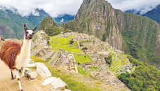 Peru tourism industry in ‘free fall’ as Machu Picchu closed by protests