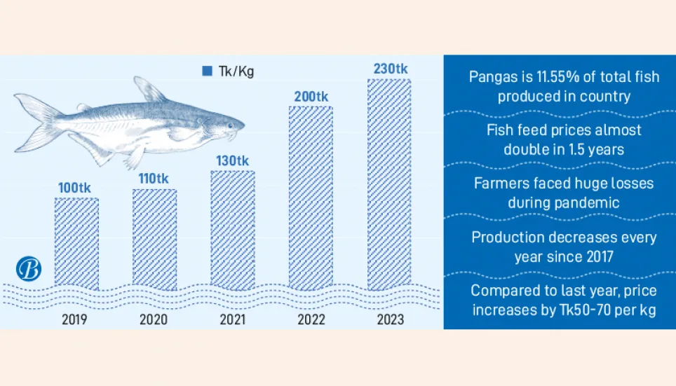 Pangas no more poor’s protein source