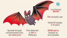 Nipah virus spreads across 28 districts