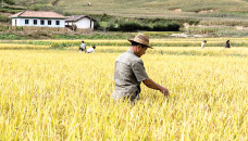 North Korea ruling party to hold key meeting on agriculture