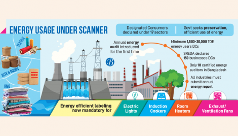 Energy audit mandatory for four industries