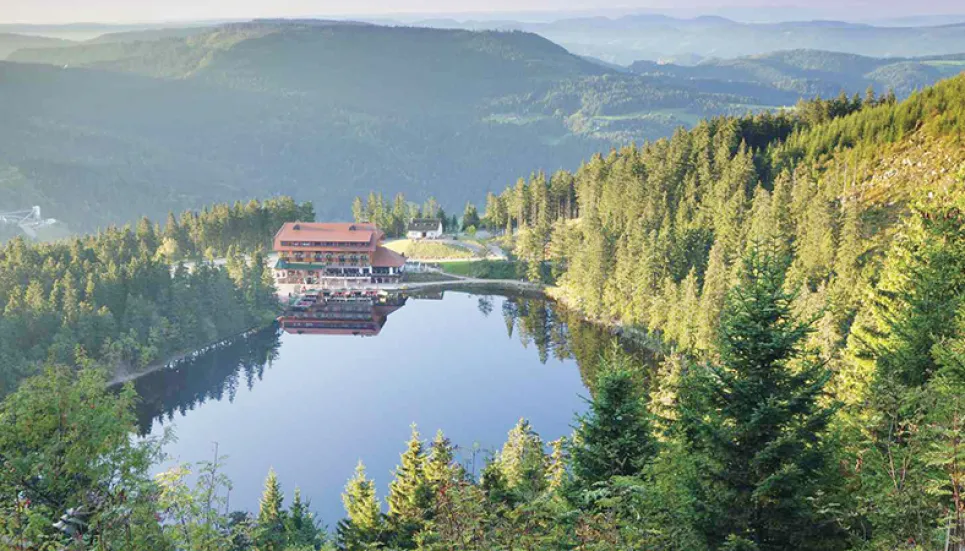 Stunning beauty of the Black Forest