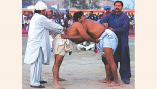 Ancient Sindhi sport of Malakhro